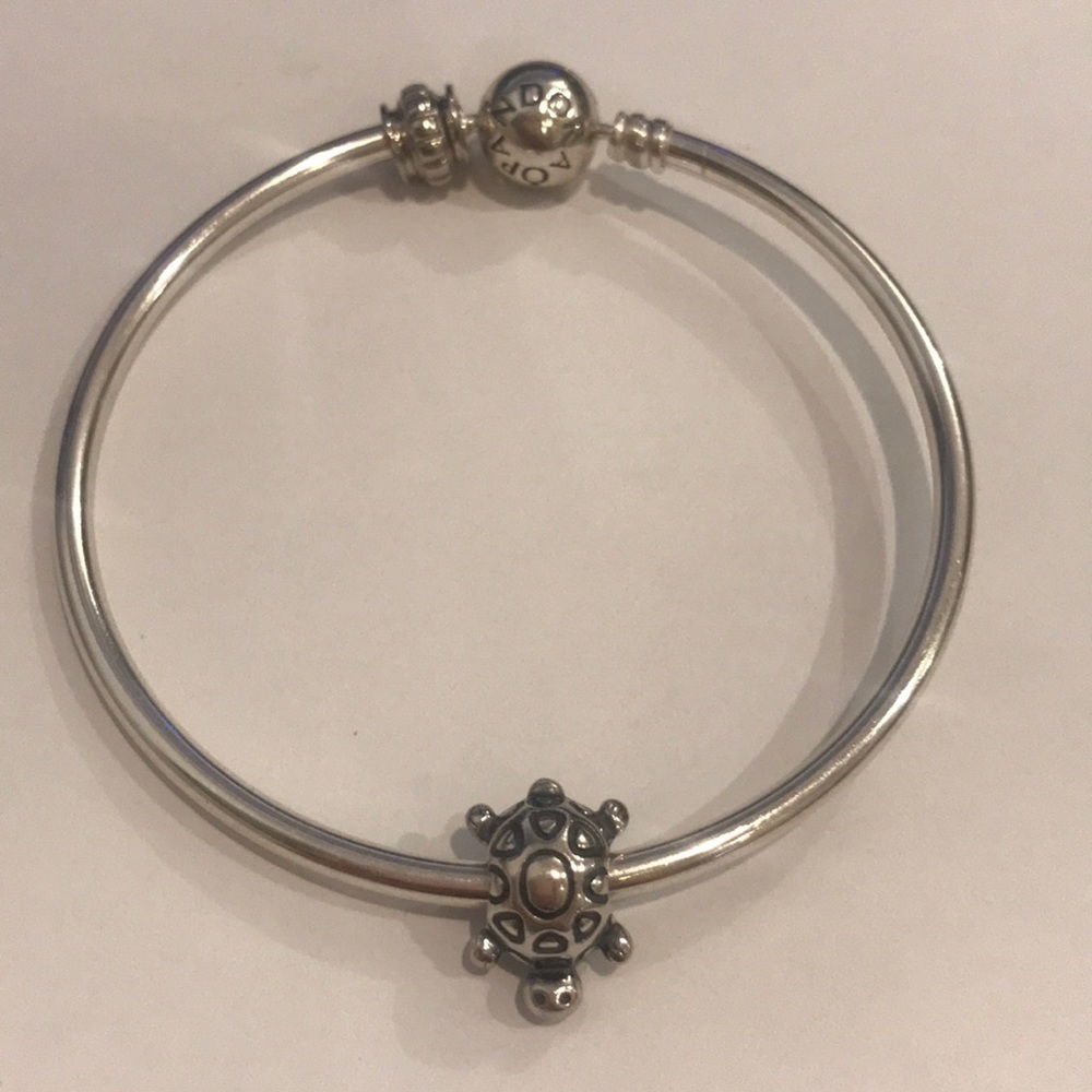 Pandora Turtle Charm